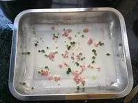 家庭自製腸粉,還以為很難!原來超簡單的嘛!