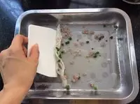 家庭自製腸粉,還以為很難!原來超簡單的嘛!