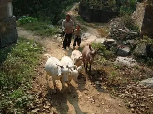 婚後我想買車,婆婆送來6萬,過節去了趟婆家,我哭著把新車賣了