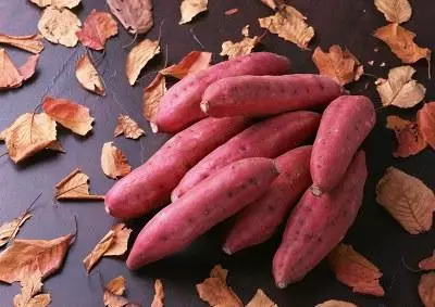 醫生每天必吃的5種抗癌食物 天天吃嚇退癌細胞 尤其是最後一個