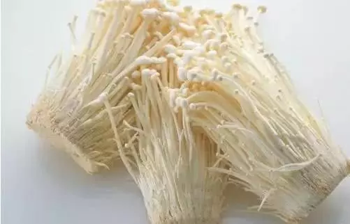 金針菇的根別再扔了,教你一招,隔幾天又可以吃新鮮的金針菇了