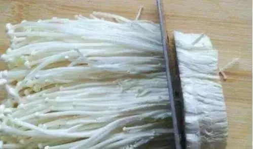 金針菇的根別再扔了,教你一招,隔幾天又可以吃新鮮的金針菇了