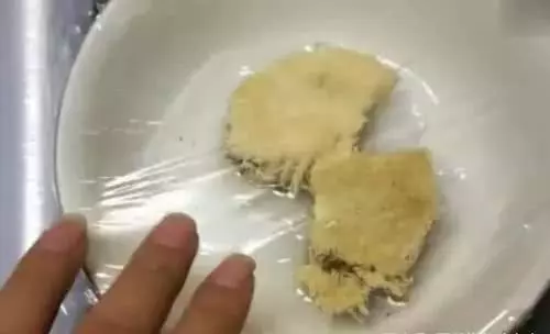 金針菇的根別再扔了,教你一招,隔幾天又可以吃新鮮的金針菇了