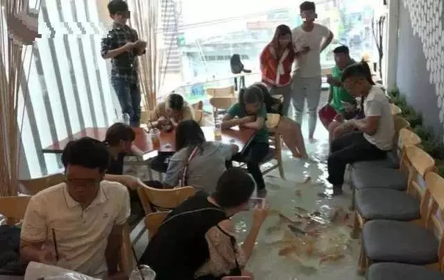 全網最火的創意咖啡店,老闆地上養魚,顧客爆滿:邊喝咖啡邊魚療
