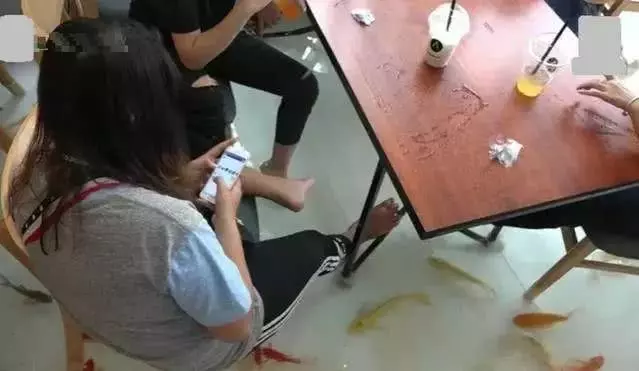 全網最火的創意咖啡店,老闆地上養魚,顧客爆滿:邊喝咖啡邊魚療