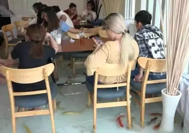 全網最火的創意咖啡店,老闆地上養魚,顧客爆滿:邊喝咖啡邊魚療