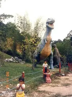 就是這個原因Mimaland淪落成大馬鬼城!整整被荒廢20多年!現在竟變成這樣…