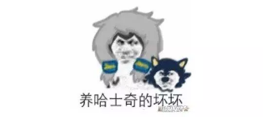 王者榮耀史上最冷門射手,被天美2招送上神壇!魯班后羿都不得不服