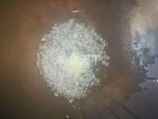 肉末雞蛋蒸豆腐,好好吃,做法簡單,趕快收藏起來吧!