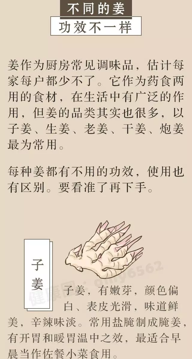 一片生薑,三大功效!3招教你正確吃薑,超補身體