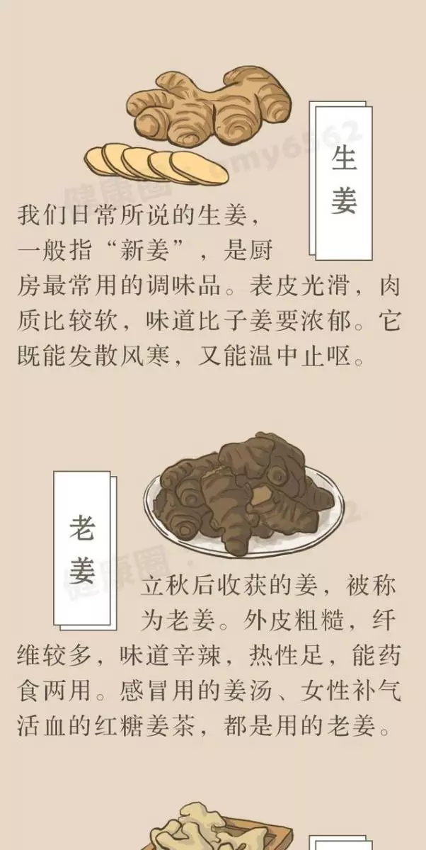 一片生薑,三大功效!3招教你正確吃薑,超補身體