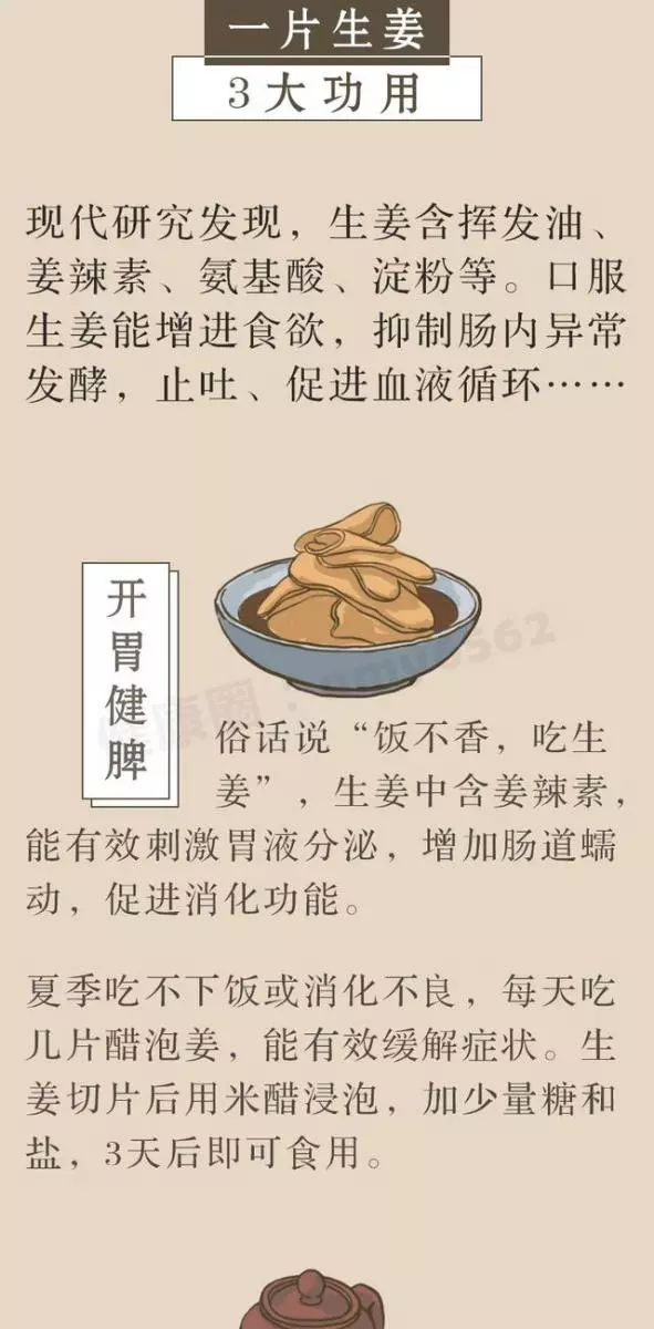 一片生薑,三大功效!3招教你正確吃薑,超補身體