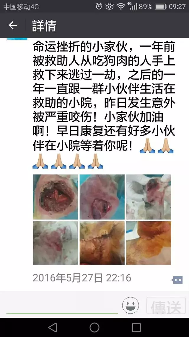 一隻殘疾狗狗扒住她的腿,「我想有家……」