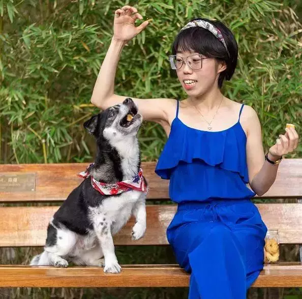 一隻殘疾狗狗扒住她的腿,「我想有家……」