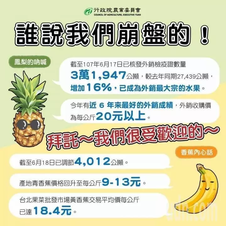 影/鳳梨價格崩盤 合作社批農委會竟宣傳外銷成績佳
