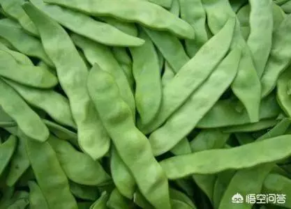 痛風能吃豆角嗎?有哪些依據?