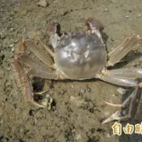 發現老公背上痘痘遭別人擠掉 眼尖人妻意外捉姦
