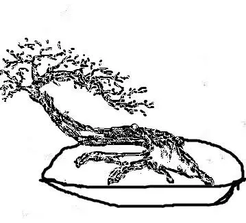 盆景入門:對只有底部有枝的「雞肋樁」的處理方法