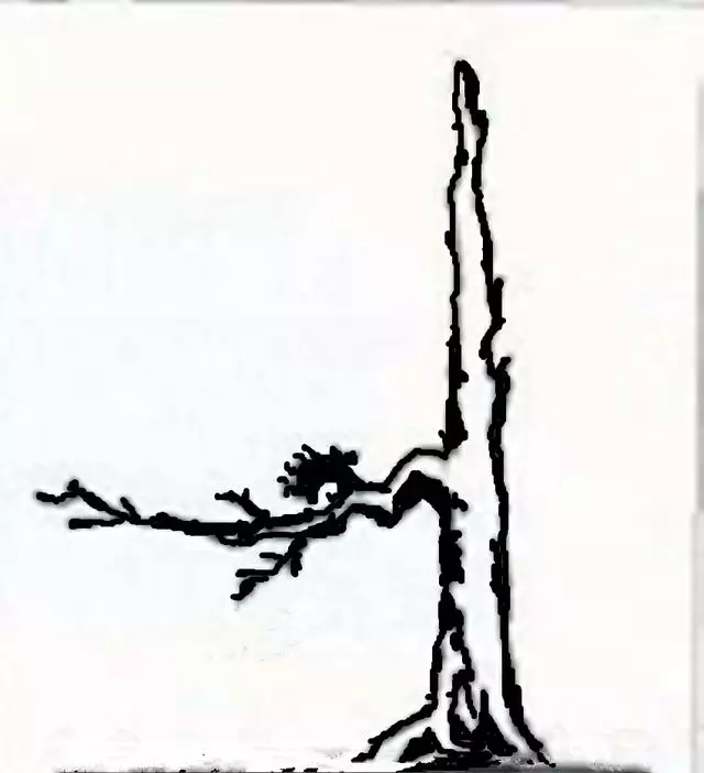 盆景入門:對只有底部有枝的「雞肋樁」的處理方法