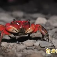 尾牙抽獎「單側隆乳」 高醫兌現獎項幫癌婦重拾自信