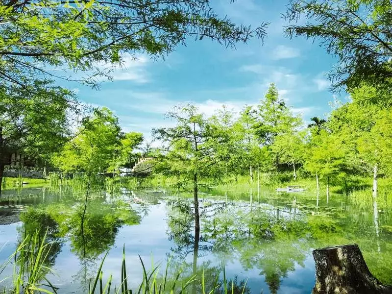 根本是《魔戒》裡小木屋! 花蓮「最美打卡咖啡廳」7月終於正式開幕