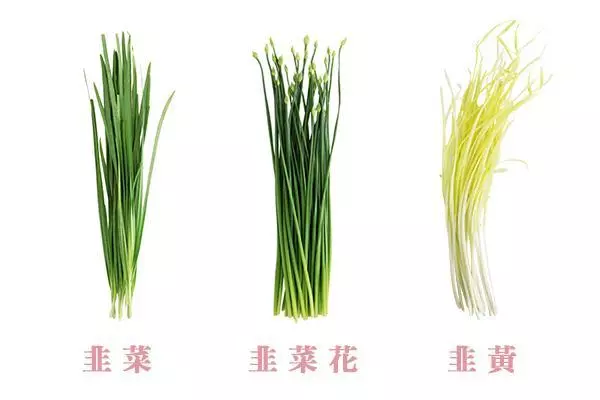 韭菜生吃好還是熟吃好？韭菜的這6個好處，或許你們還不知道