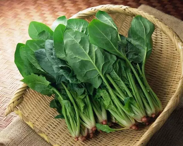 天然的「養胃王」,每天吃一點,消滅幽門螺旋桿菌,胃病不再犯!