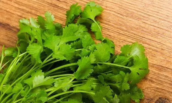 天然的「養胃王」,每天吃一點,消滅幽門螺旋桿菌,胃病不再犯!