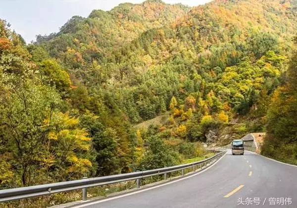 情侶開車路上為孕婦「接生」,孕婦反而救了他們兩條命,原來事事皆有因果!