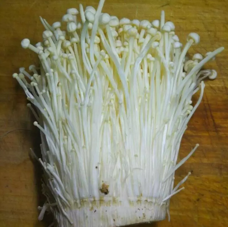 叔叔在餐廳做廚師,我們每次去吃飯的時候,爸爸都會叫叔叔做「涼拌金針菇」只因叔叔做的金針菇是這樣做的!超級好吃!