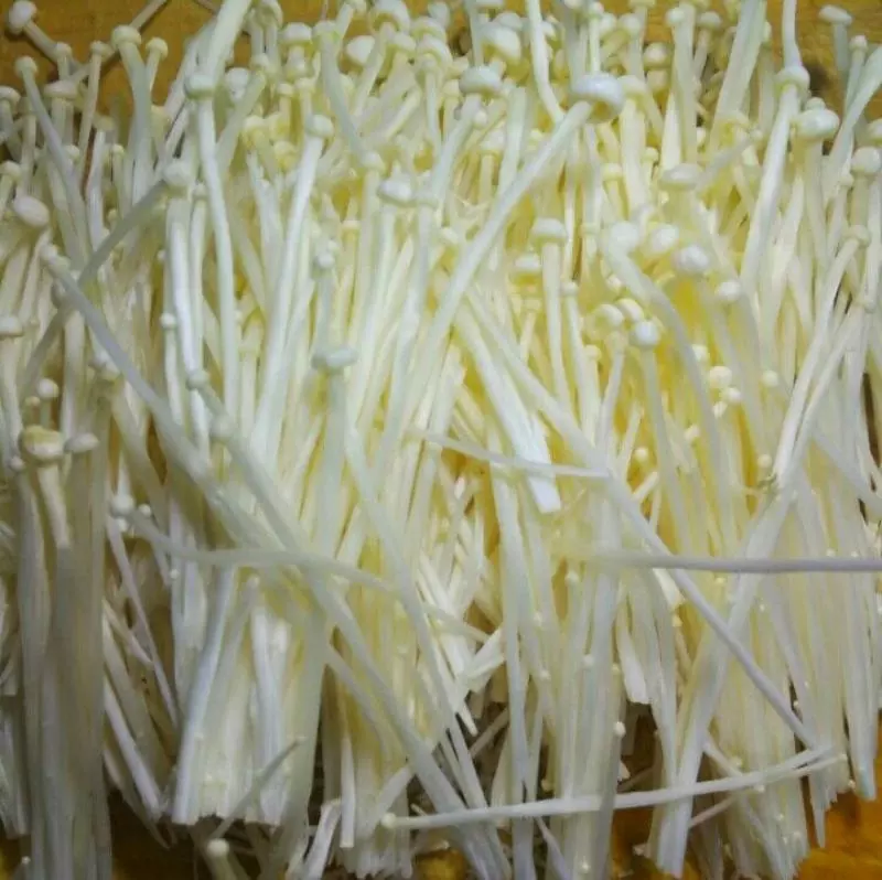叔叔在餐廳做廚師,我們每次去吃飯的時候,爸爸都會叫叔叔做「涼拌金針菇」只因叔叔做的金針菇是這樣做的!超級好吃!