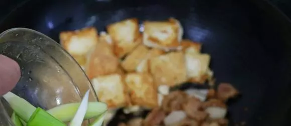蒜香豆腐的做法大全,手把手教你怎樣煎豆腐既不粘鍋又好吃
