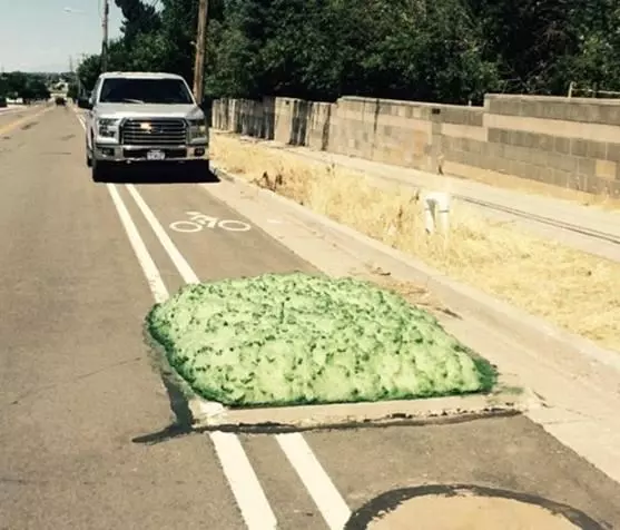 汽車司機在公路上發現「綠色海綿」,上前查看後竟發現海綿的體積還在不斷的擴大,嚇得他立即叫來警察!