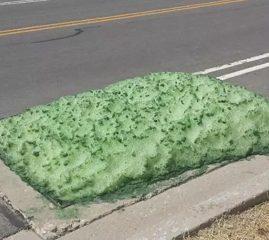 汽車司機在公路上發現「綠色海綿」,上前查看後竟發現海綿的體積還在不斷的擴大,嚇得他立即叫來警察!