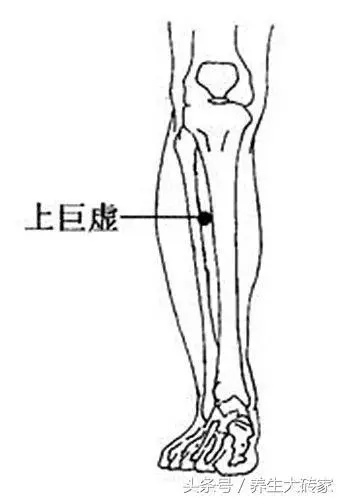 排便有2個「最佳時間點」,便秘的人,這「5件事」越早知道越好