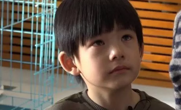 夫妻上法庭爭兒子監護權,兒子消失一天後,前妻笑了,我主動放棄
