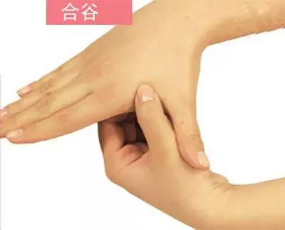 經常按揉這些穴位,輕鬆排出體內毒素 - 穴道經絡引導