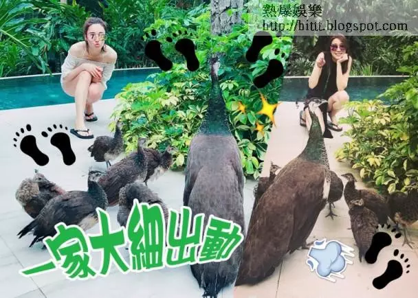 姚子羚:胡蓓蔚出賣!姚子羚中門大開表哥眼歎瀑布 __,胡蓓蔚,姚子羚,