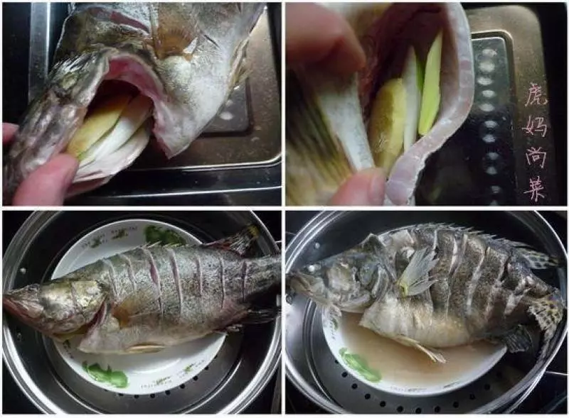 蒸魚無腥味,澆汁極鮮美的奧秘,後廚大師傅教我的 EZP9 生活網