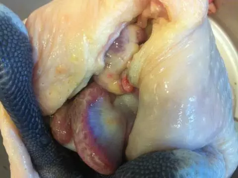 電鍋版清蒸蒜頭雞,做法簡單,湯汁淋到米飯上超入味,大人孩子一窩蜂搶光!