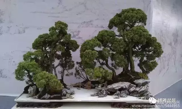 三十三盆盆景 三十三種震撼
