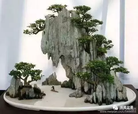 三十三盆盆景 三十三種震撼