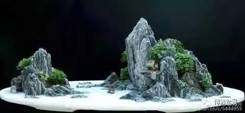 三十三盆盆景 三十三種震撼