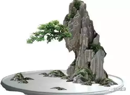 三十三盆盆景 三十三種震撼