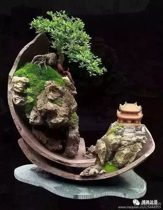 三十三盆盆景 三十三種震撼