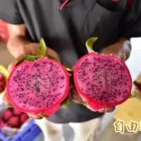 暑假來當「北橫探險王」! 高空彈跳、 溯溪…搶報名