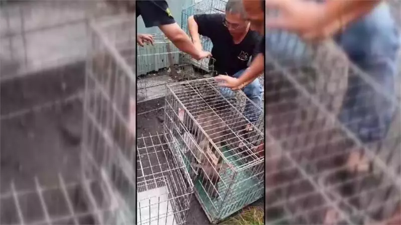 扯!台南流浪狗遭活生生塞麻布袋 網友怒批太不人道