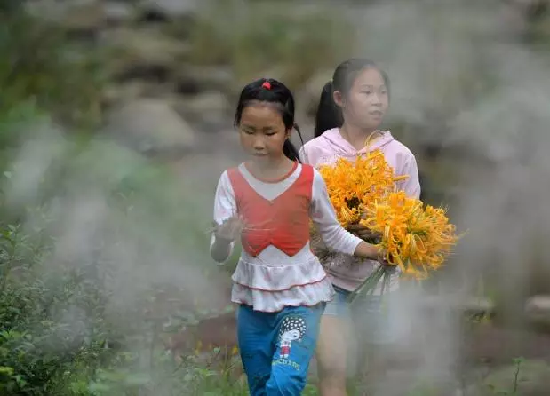 父母離婚爭搶兒子,閨女沒人要,多年後雙雙打臉!