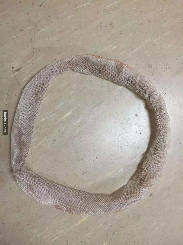 這條蛇褪完皮後才發現「自己不小心卡在了死皮里」,它試著逃出來的景象詭異到讓人忍不住會想再看第二次啊!