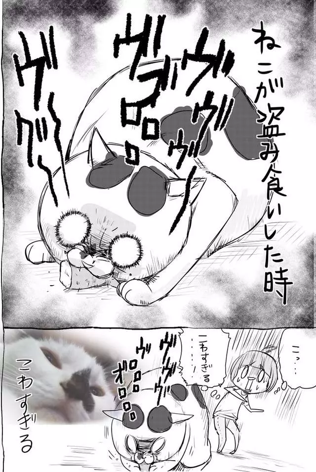 網路漫畫中肯畫出「養貓和養狗最大差別」,超不公平待遇讓貓飼主都想躲到棉被裡哭哭了…